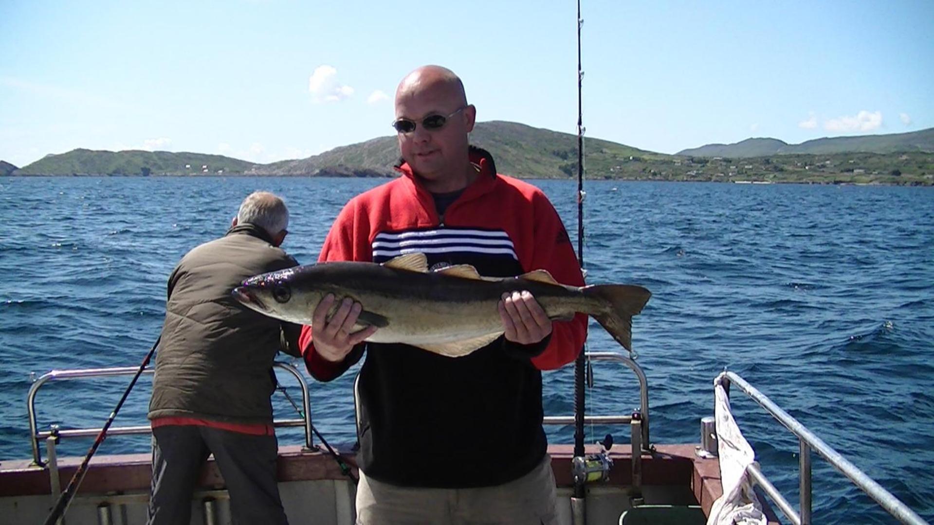 Sneem River Lodge Bed & Breakfast Экстерьер фото